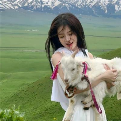 的士司机粤语 在线观看
